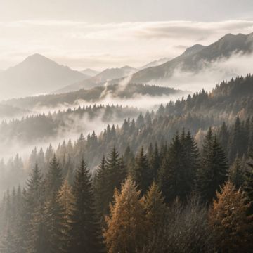Спальники демісезонні